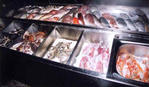 023.jpg (51385 �o�C�g)