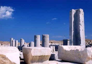 039.jpg (41846 �o�C�g)