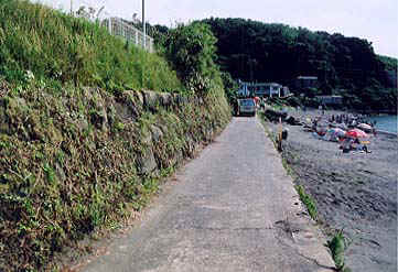 356.jpg (45283 �o�C�g)