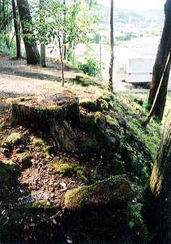 357.jpg (51437 �o�C�g)