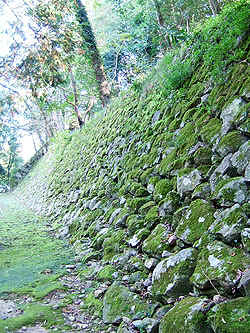 407.jpg (93210 �o�C�g)