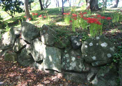 410.jpg (54011 �o�C�g)