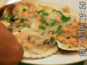 040818_2059~01.jpg (32025 �o�C�g)