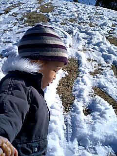 060123_1123~0001.jpg (29146 �o�C�g)