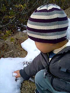 060125_1147~0002.jpg (26529 �o�C�g)