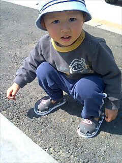 060308_1141~0001.jpg (27259 �o�C�g)