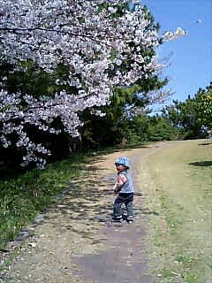 060331_1218~0001.jpg (29503 �o�C�g)