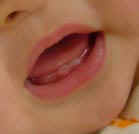 2004_0530_230510.JPG (18580 �o�C�g)