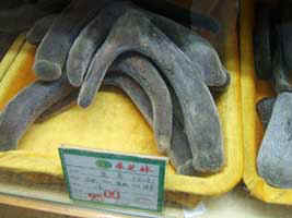 2005_0124_173522.jpg (28095 �o�C�g)