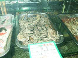 2005_0124_173604.jpg (33504 �o�C�g)