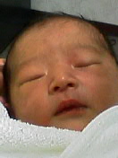 baby001.jpg (8211 �o�C�g)