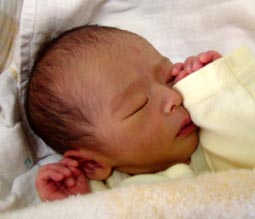 baby002.jpg (27739 �o�C�g)