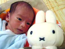baby006.jpg (25085 �o�C�g)