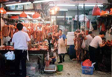 001.jpg (40562 �o�C�g)