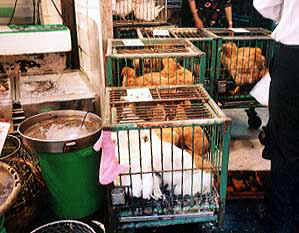 002.jpg (41049 �o�C�g)