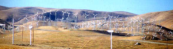 001.jpg (40562 バイト)