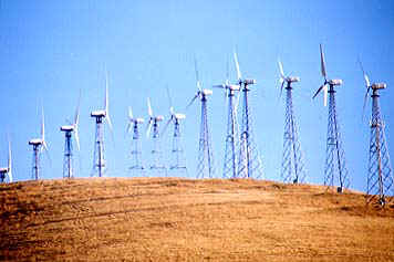 001.jpg (40562 バイト)