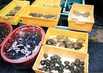 002.jpg (41049 �o�C�g)