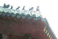 002.jpg (41049 �o�C�g)